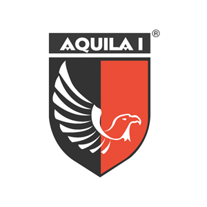Aquila I Solutions Pvt. Ltd.