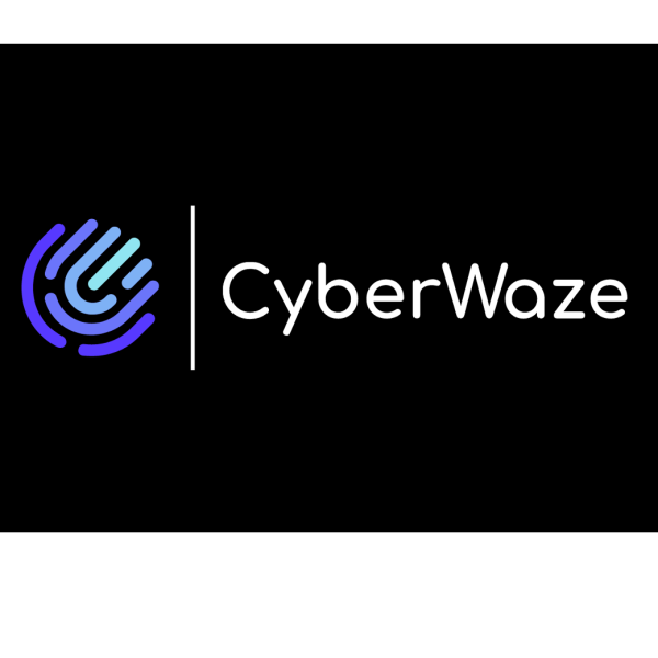 Cyberwaze information Technology consultants Est